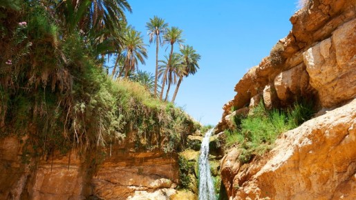 Когда лучше всего отдыхать в Тунисе: не все сезоны одинаково хороши