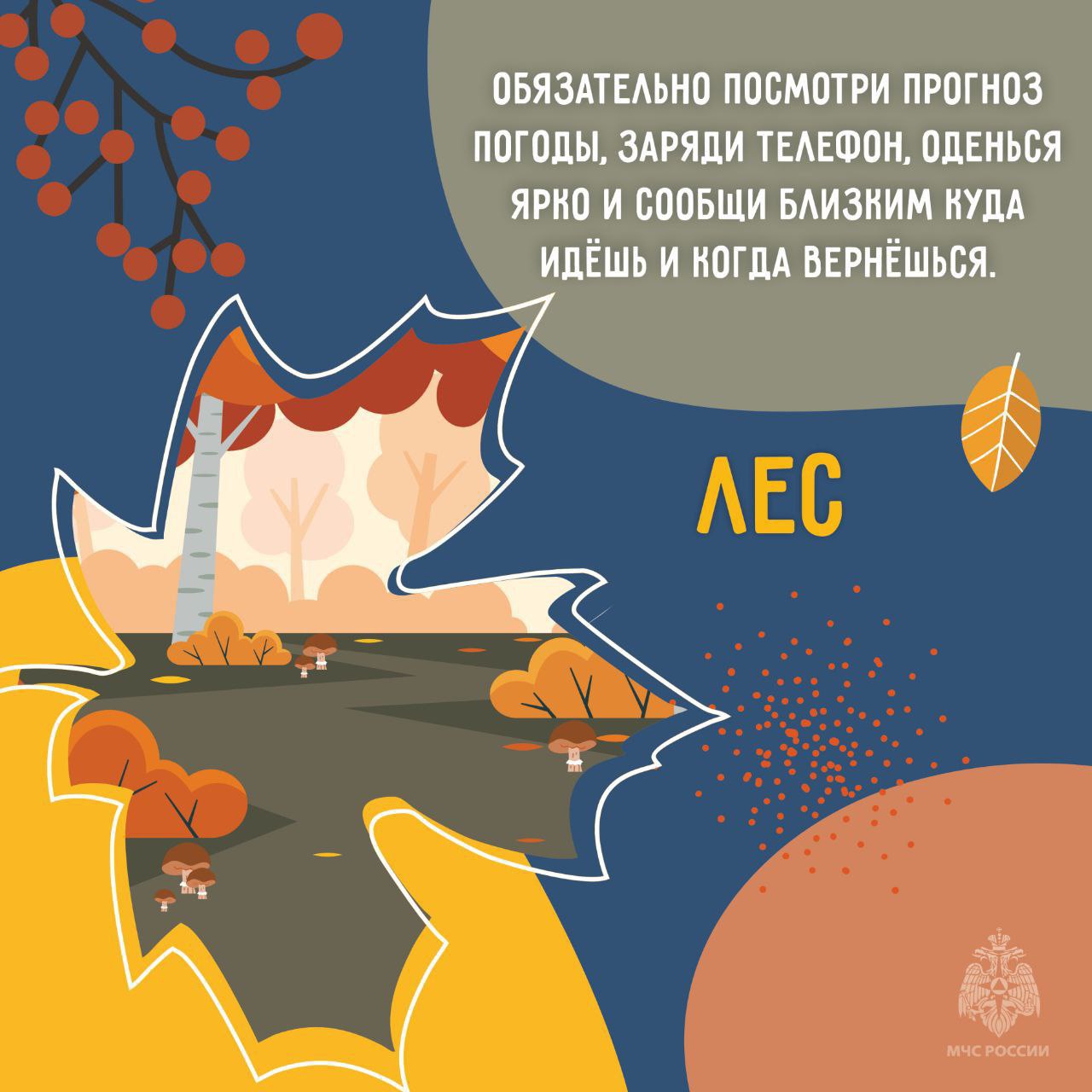 Осень под прицелом безопасности Осень под прицелом безопасности