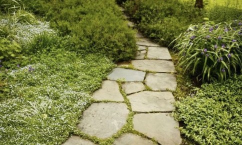Идеальные дорожки для сада: как создать гармонию из плитняка и древесины
