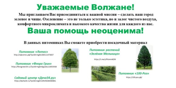 Волжане, примем участие в озеленении родного города! Растения можно приобрести в питомниках